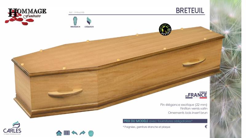 Cercueil en pin élégance exotique modèle 